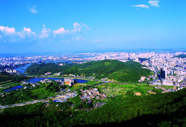 中山、珠海和惠州哪个更有发展前景?