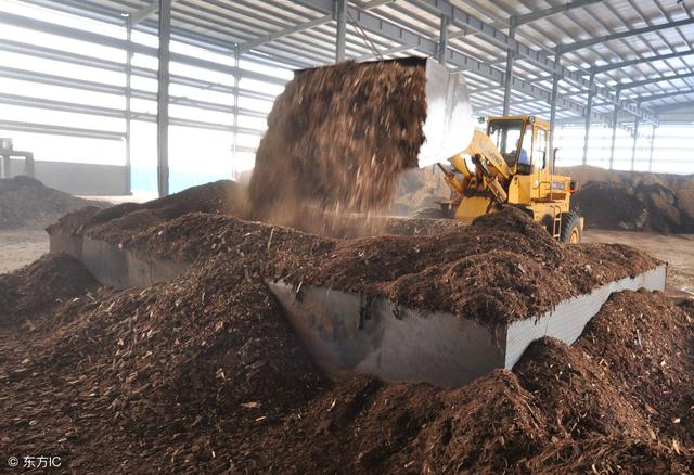日本养鸡场变废为宝用鸡粪发电!中国又是如何利用农业废弃物的?