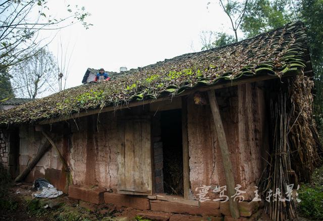 重庆农村1958年的老房子八十年代卖70块钱一间现在还住着人