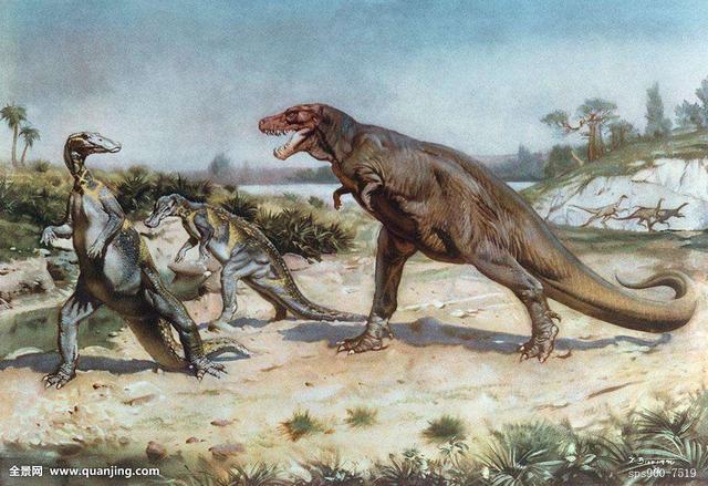 科学家们争论,暴龙也许不是掠食者而是素食主义者或是食腐者