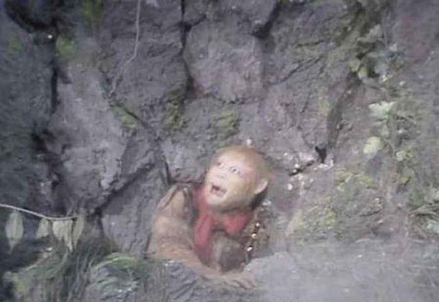 孙悟空被压五指山他的结拜兄弟为啥不来救他背后原因真心凉