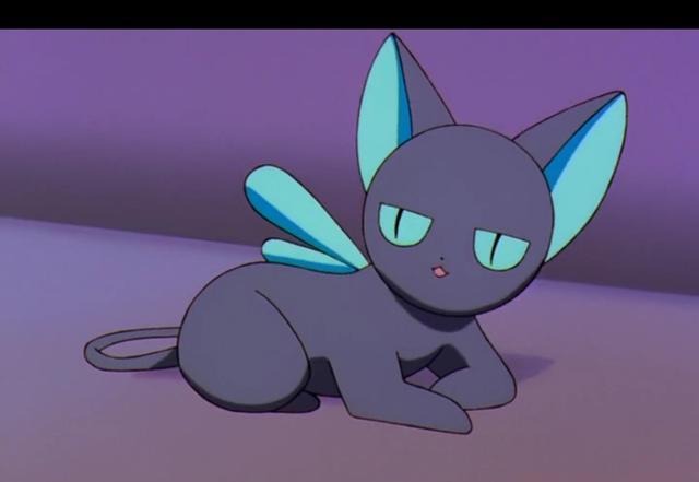 再谈那些古灵精怪的猫(二)