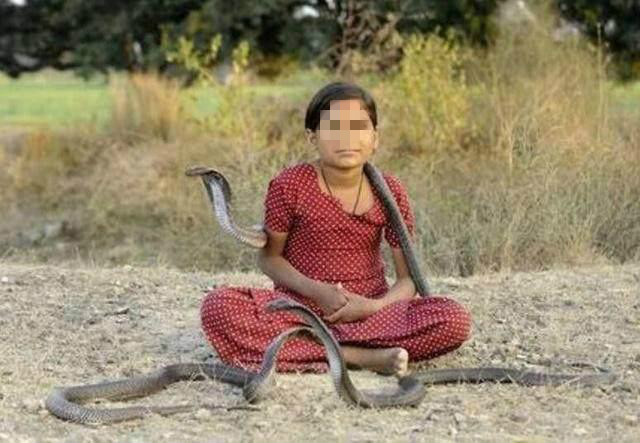 女孩天天与眼镜蛇玩耍,被学校退学,还被咬伤过三次