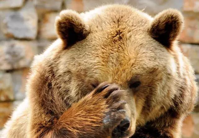 比起熊孩子,更让家长崩溃的是这种娃!