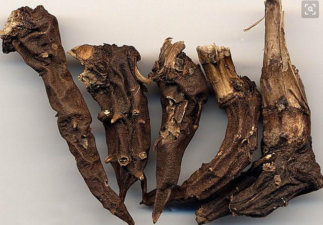 乌头碱|男子|药酒_新浪新闻