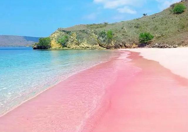 我是一只旅行青蛙 我在性感的巴哈马粉色沙滩