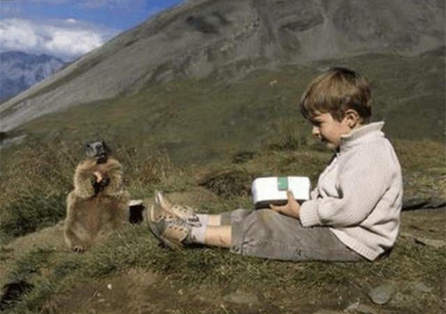 超级暖心新西兰小男孩与土拨鼠成为好朋友