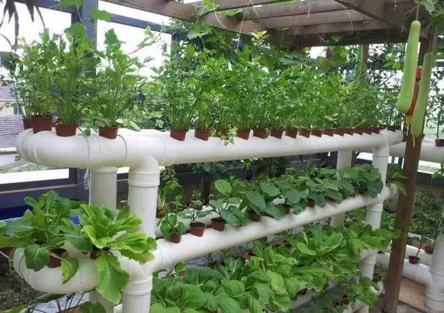 pvc管|水管|家具_新浪新闻