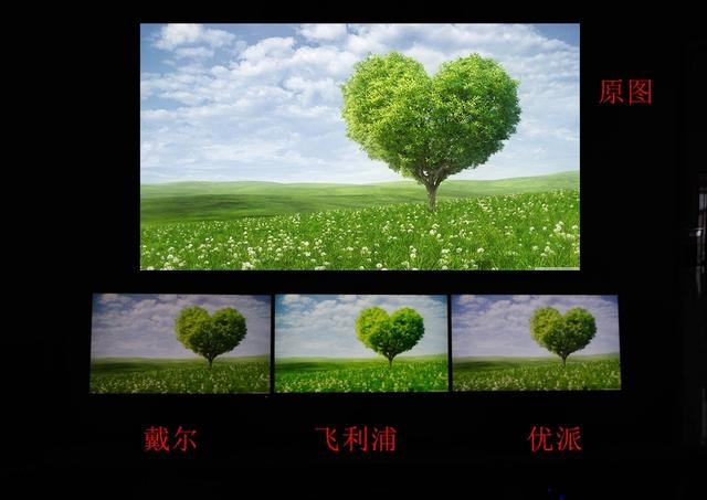 对比越细伤害越大,三款主流24英寸ips显示器对比测评!