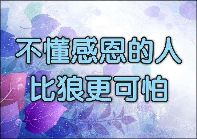 辈子|感恩|缺点_新浪网