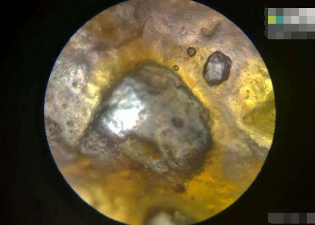 男子将辣条放在显微镜下做尝试测试后却看到了这种东西