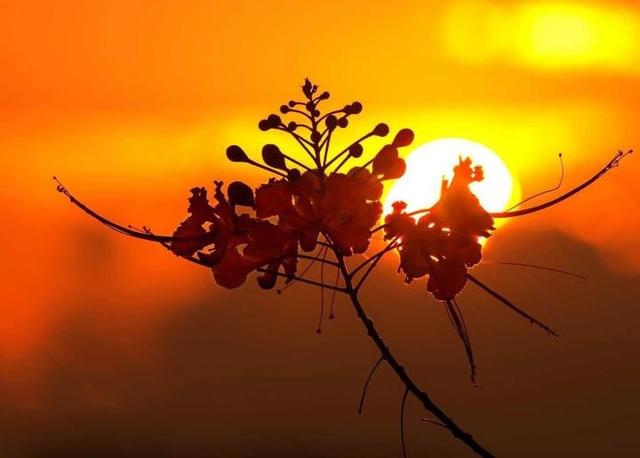 "成长是一笔交易,我们都是用朴素的童真与未经人事的洁白交换长大的