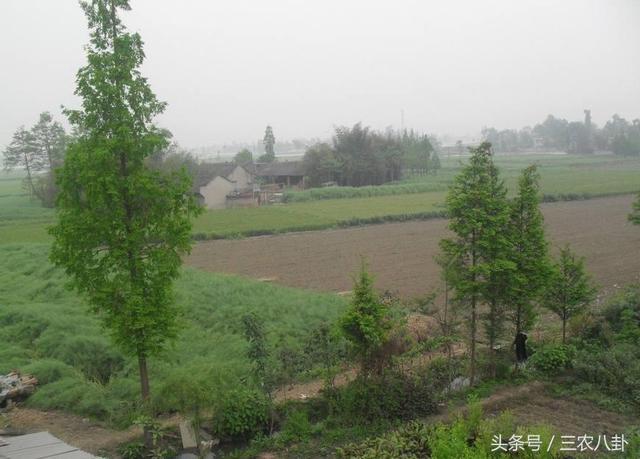 户口迁出农村,土地不能确权会被收回?这几点农