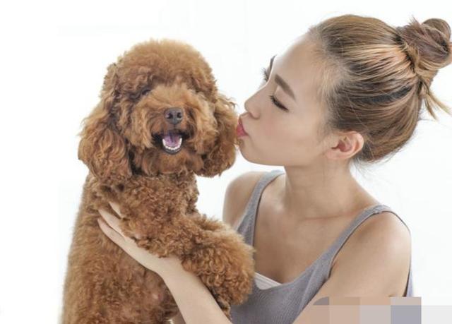 都喜欢养狗,一个个奇葩的理由让人哭笑不得|养狗|奇葩|狗狗_新浪新闻