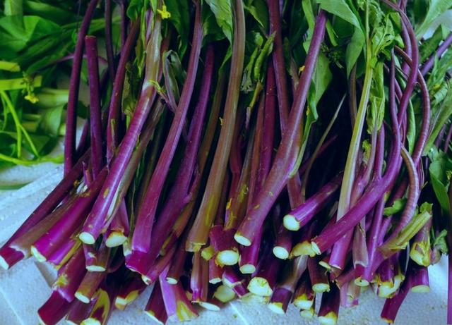 吃了几十年的红菜苔,还真不知道还有不苦的,您吃过吗?