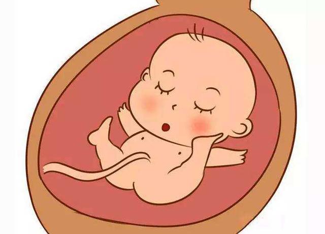 胎宝宝在妈妈肚子里就学会了的8件事,第三个让孕妈哭笑不得