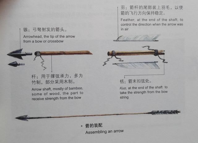 箭矢起源于石器时代,人们用石片,骨或贝壳打制成尖利的形状安装于矢杆