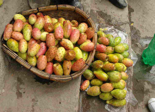 长在农村山里的果子被当地人称为仙桃远销海外