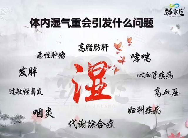 减肥始终不成功你的体内的湿气太重了