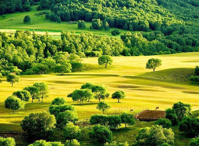 中国北方竟有这么色彩缤纷的草原,还被称为摄影之乡,天然画廊!