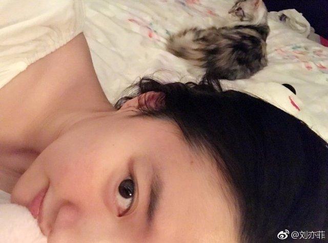 刘亦菲晒微博, 评论炸锅了, 网友: 活得还不如一只猫!