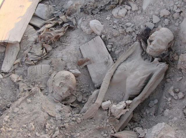 飞禽不敢穿越的罗布泊