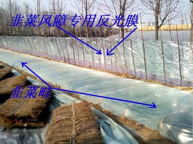 农民种植蔬菜,栽培设施的作用有哪些?