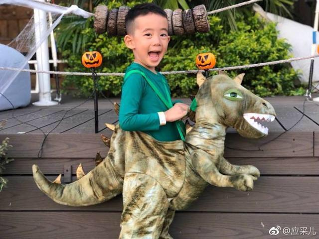 回应邓伦李沁恋情,喊话霍思燕问二胎,应采儿不