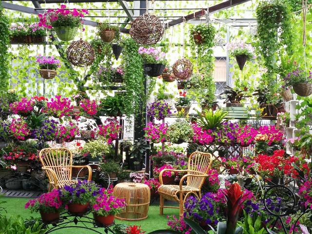 红枫路惊现绝美花房!母亲节带上妈妈玩拍花房全家福!