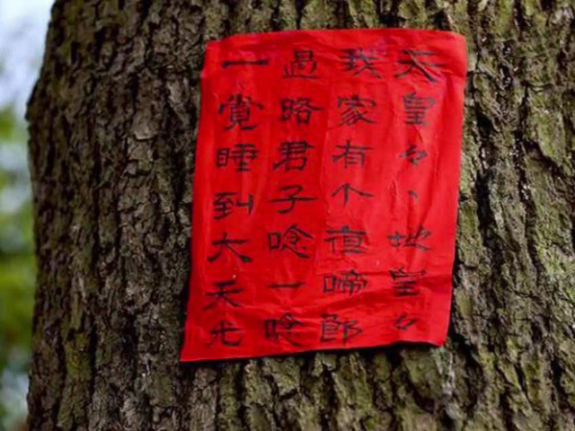 婆婆不知道在哪找了张红纸上面写着专治孩子哭闹,婆婆说这是夜啼贴