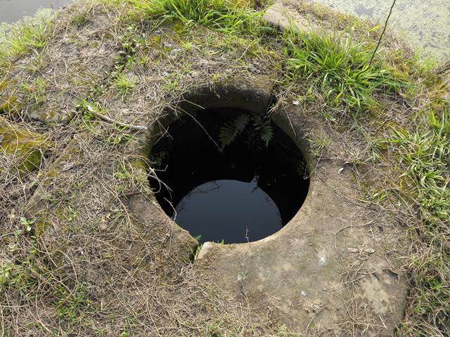 村民把百年老井的水抽干,下井打扫时,竟看到这么惊喜的场面