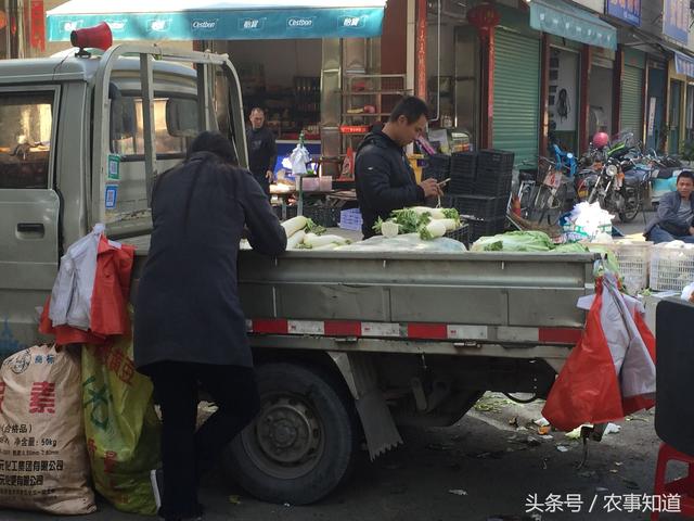 农村小伙一车菜当街贱卖,无人问津,路人的话令人伤心