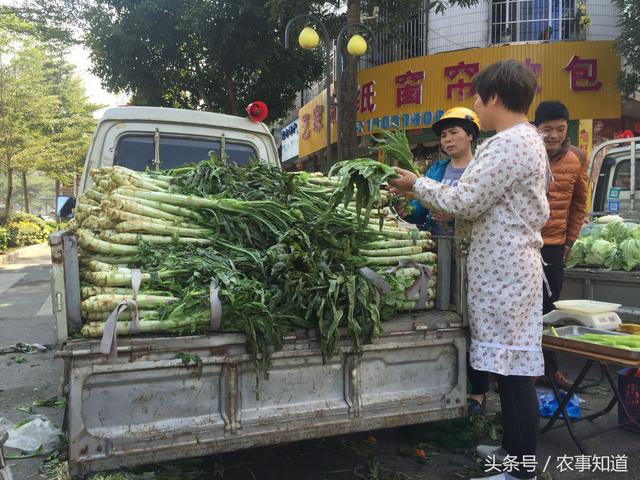 农村小伙一车菜当街贱卖,无人问津,路人的话令人伤心