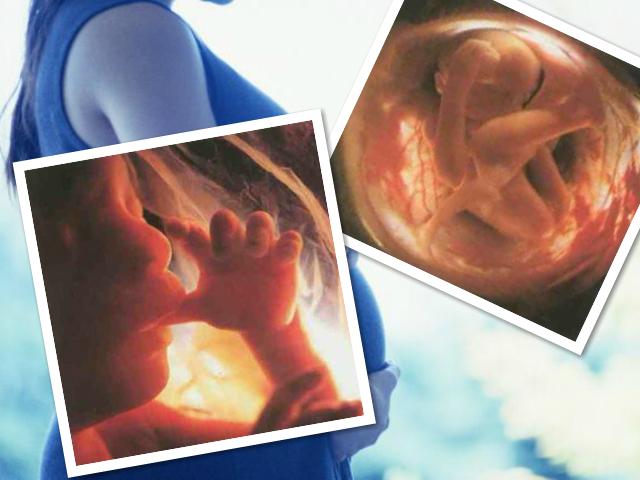 胎宝宝在肚子里面做了什么,妈妈看了会感动得想哭