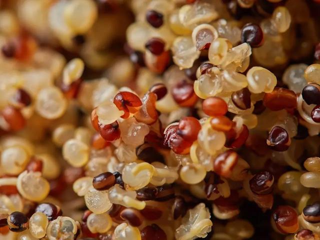 你与好身材之间只差一碗藜麦