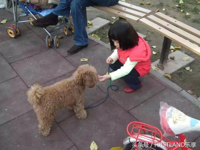 河南省新版《物业管理条例》禁止管理区域内饲