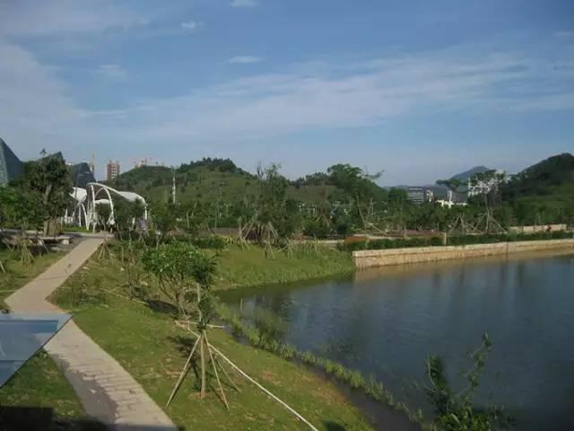 深圳十大最美绿道,你去过几处?