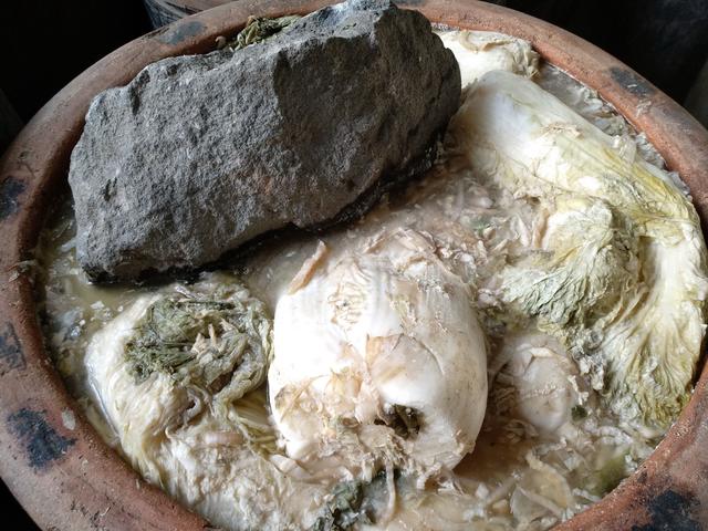 饭店十口大缸腌了一万多斤酸菜,全都烂掉了,你知道这是为什么吗