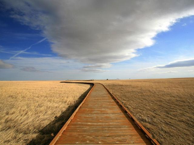 人生,需要用心感悟|人生|用心|生活_新浪新闻