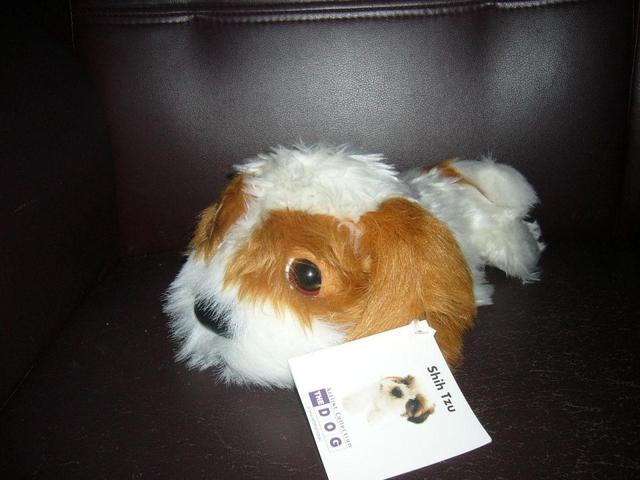 贾乃亮(鼠)李小璐(鸡)悲剧警示录:老祖宗生肖婚