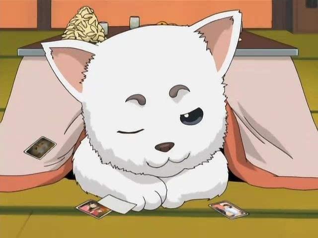 《银魂》中的宠物角色,巨型生物,由美女巫女阿音和百音因无力饲养而