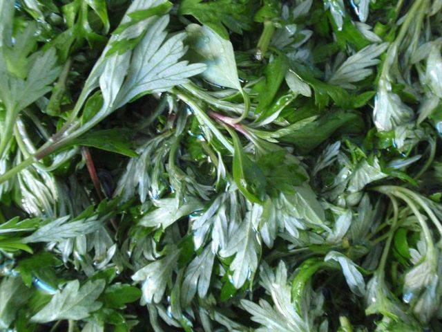 农村这3种不起眼的野草专治脚气香港脚