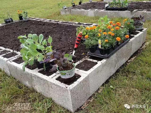 工地|搬砖|花盆_新浪新闻