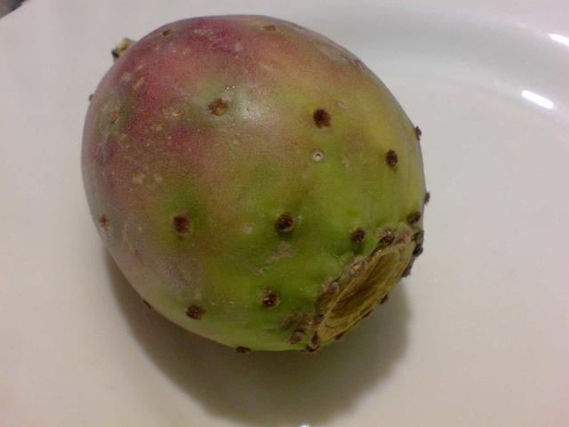 仙人掌果虽好不是所有人都适合吃,仙人掌果的