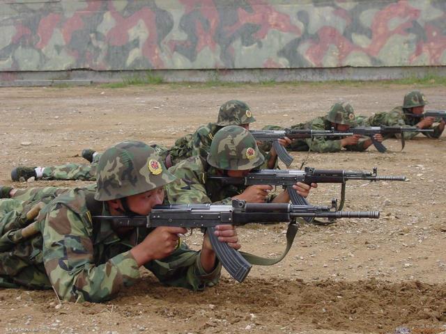 81-1式(八一杠)87式自动步枪81式虽是一种临时步枪,但由于综合性能