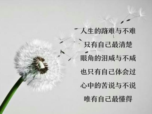 你的伤痛只能靠自己独自承受