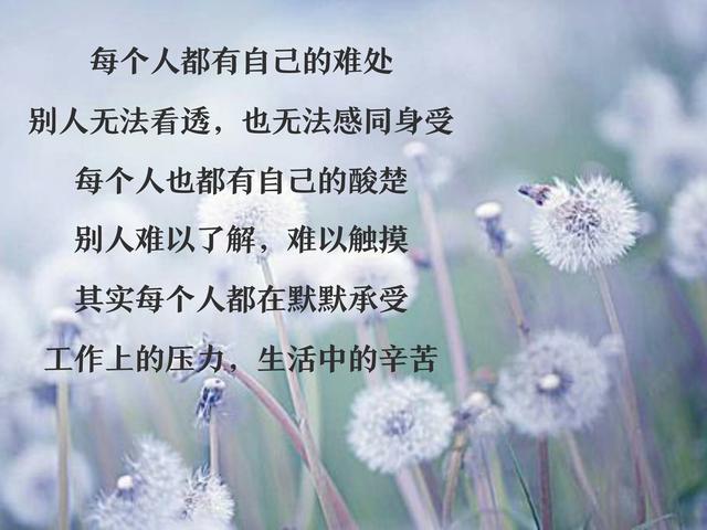 你的伤痛只能靠自己独自承受