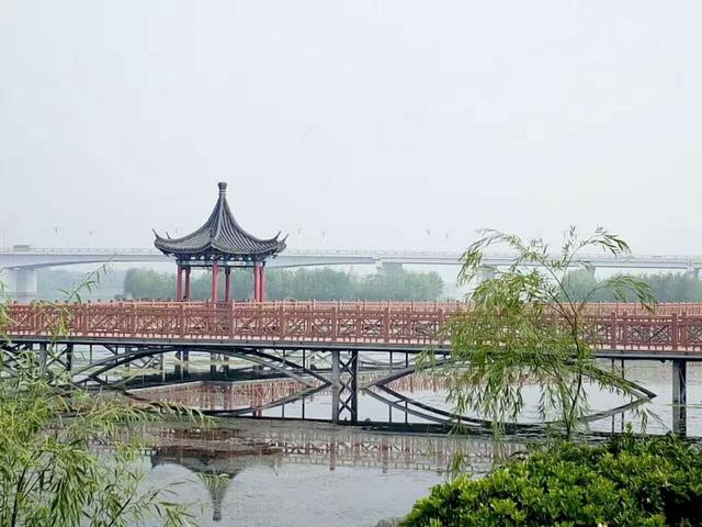 莒县沭河湿地公园一角2