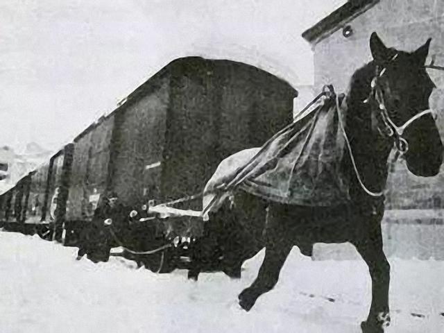 慈禧太后坐火车游玩,提出"三点要求",让司机欲哭无泪!