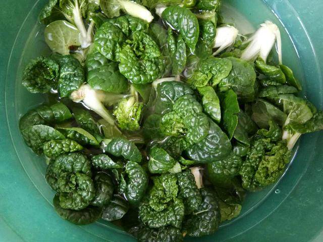 食材:香菇,黑油菜,植物油,蚝油,食盐,花椒数粒